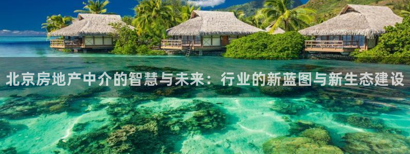 风暴娱乐提现：北京房地产中介的智慧与未来：行业的新蓝图与新生