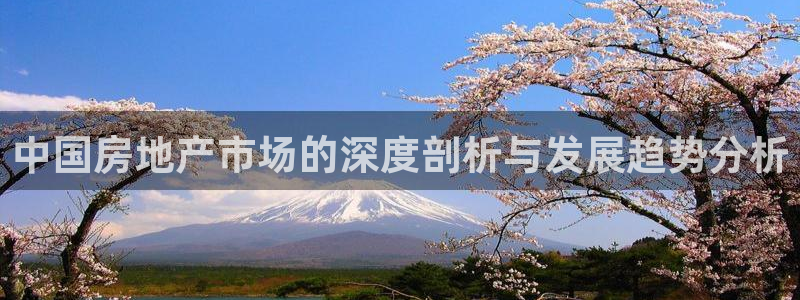 风暴娱乐 风暴注册平台：中国房地产市场的深度剖析与发展趋势分