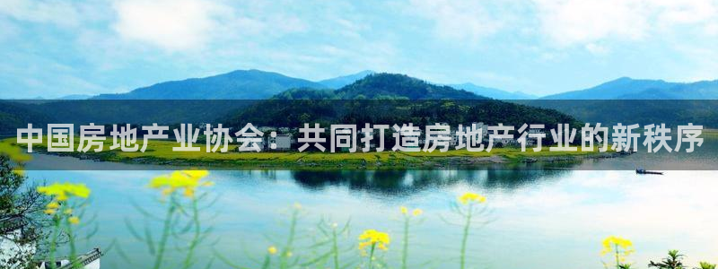 风暴娱乐银川：中国房地产业协会：共同打造房地产行业的新秩序