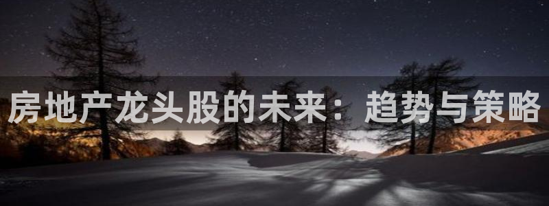 风暴娱乐部：房地产龙头股的未来：趋势与策略