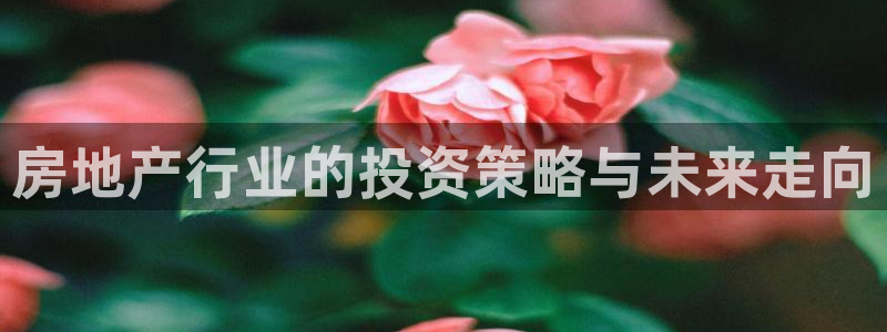 风暴娱乐点：房地产行业的投资策略与未来走向