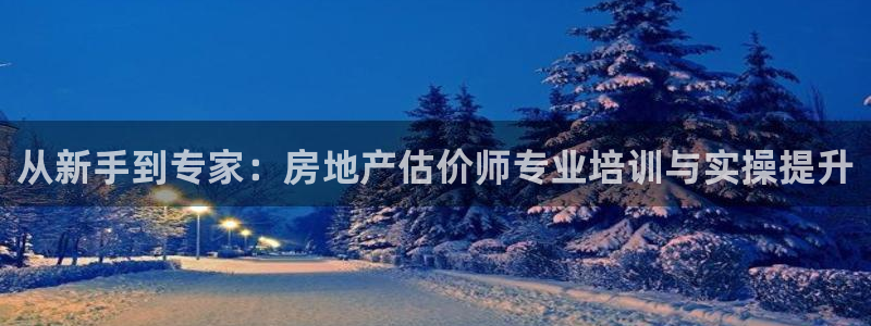 光风暴娱乐：从新手到专家：房地产估价师专业培训与实操提升