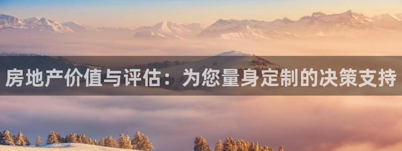 风暴娱乐自动挂：房地产价值与评估：为您量身定制的决策支持
