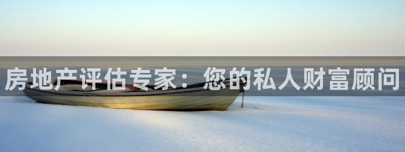 风暴娱乐平台官网登陆：房地产评估专家：您的私人财富顾问