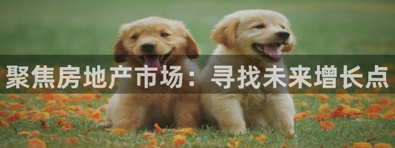 风暴娱乐实况：聚焦房地产市场：寻找未来增长点