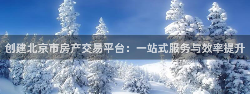 娱乐风暴开头：创建北京市房产交易平台：一站式服务与效率提升