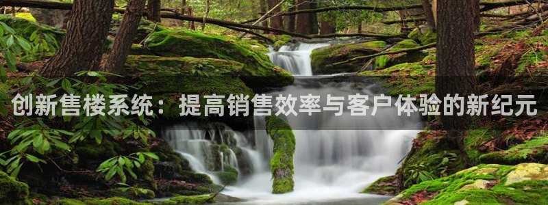 风暴娱乐自动挂：创新售楼系统：提高销售效率与客户体验的新纪元