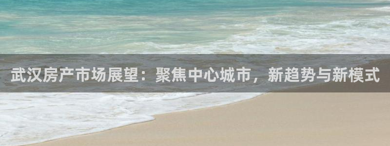 风暴娱乐棋牌：武汉房产市场展望：聚焦中心城市，新趋势与新模式