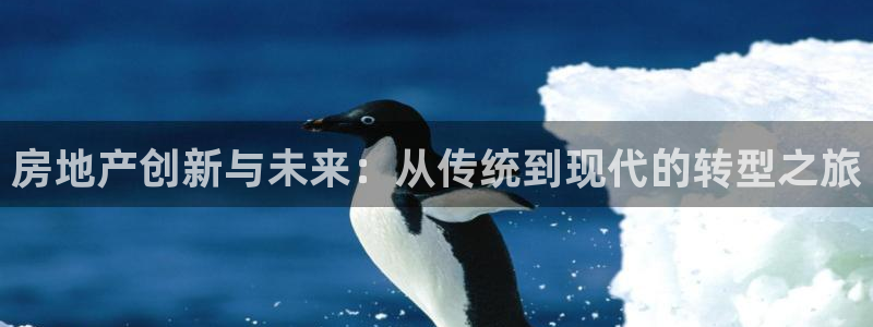 风暴娱乐这个平台靠谱：房地产创新与未来：从传统到现代的转型之