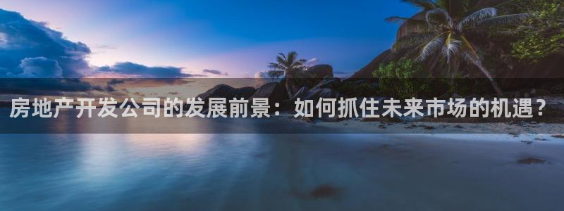 风暴娱乐开户：房地产开发公司的发展前景：如何抓住未来市场的机