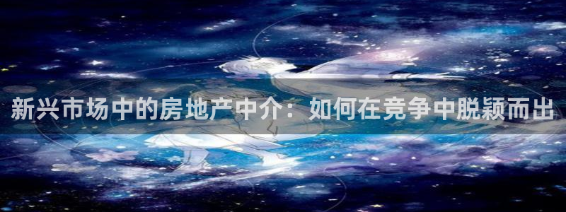 风暴娱乐官方网站：新兴市场中的房地产中介：如何在竞争中脱颖而