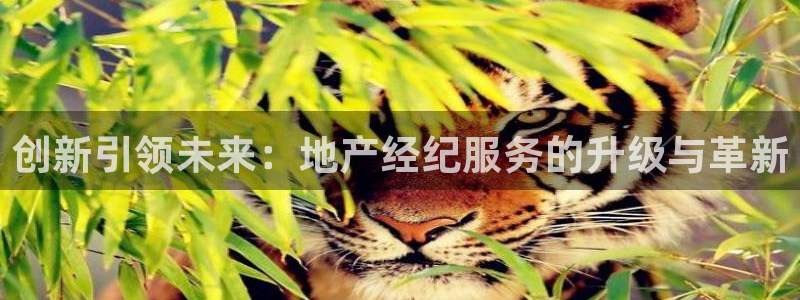 风暴娱乐有5指尖：创新引领未来：地产经纪服务的升级与革新