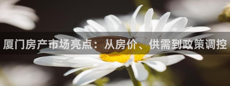 蓝色风暴娱乐：厦门房产市场亮点：从房价、供需到政策调控