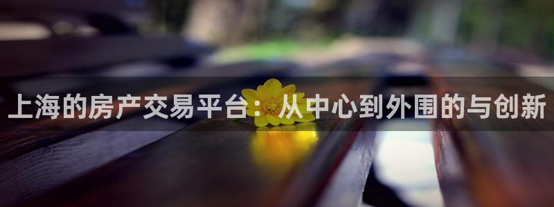 风暴娱乐下载地址：上海的房产交易平台：从中心到外围的与创新