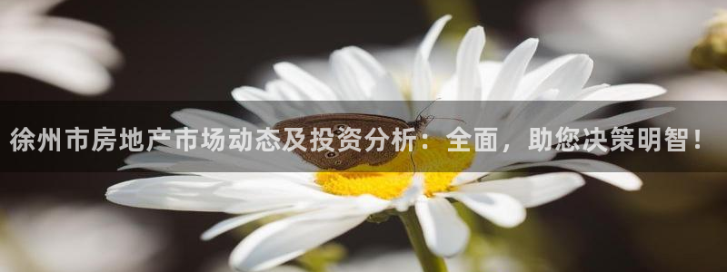 万万娱乐风暴：徐州市房地产市场动态及投资分析：全面，助您决策