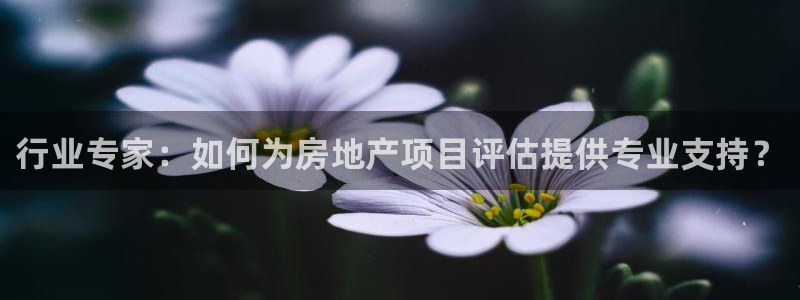 风暴娱乐平台地址：行业专家：如何为房地产项目评估提供专业支持