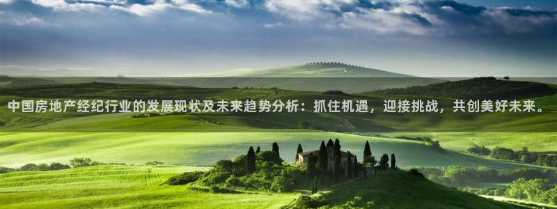 风暴娱乐测速：中国房地产经纪行业的发展现状及未来趋势分析：抓