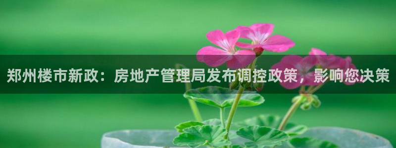 风暴娱乐老板：郑州楼市新政：房地产管理局发布调控政策，影响您