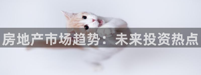 风暴娱乐号：房地产市场趋势：未来投资热点