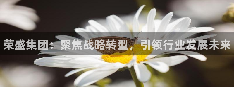 风暴娱乐求333OOc：荣盛集团：聚焦战略转型，引领行业发展
