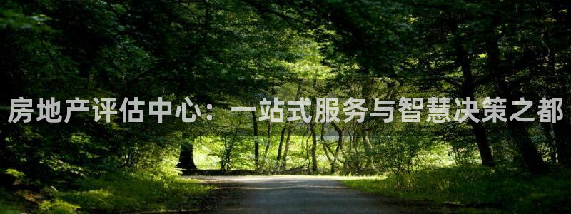 风暴娱乐提现：房地产评估中心：一站式服务与智慧决策之都