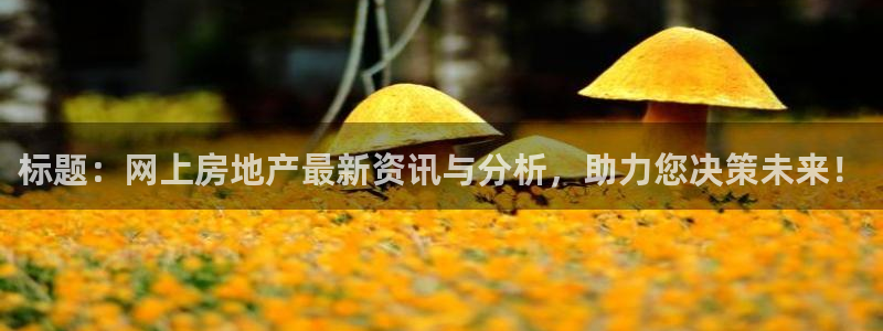 风暴大厅娱乐：标题：网上房地产最新资讯与分析，助力您决策未来