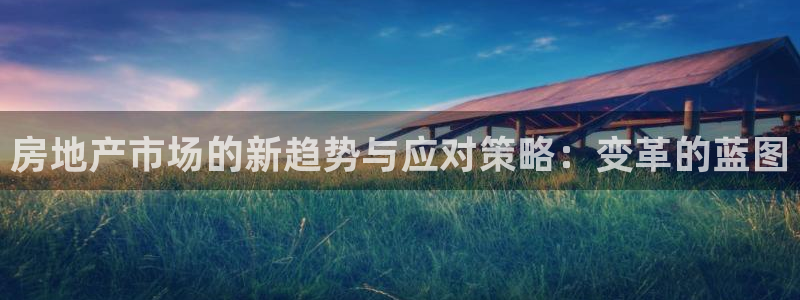 娱乐风暴App：房地产市场的新趋势与应对策略：变革的蓝图