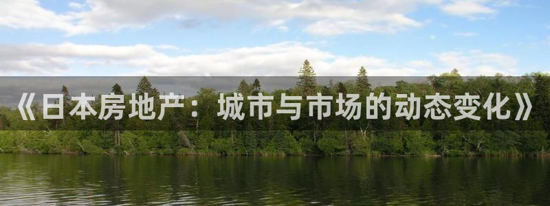 风暴娱乐待遇：《日本房地产：城市与市场的动态变化》