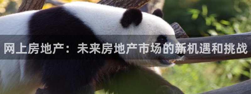 风暴大厅娱乐：网上房地产：未来房地产市场的新机遇和挑战