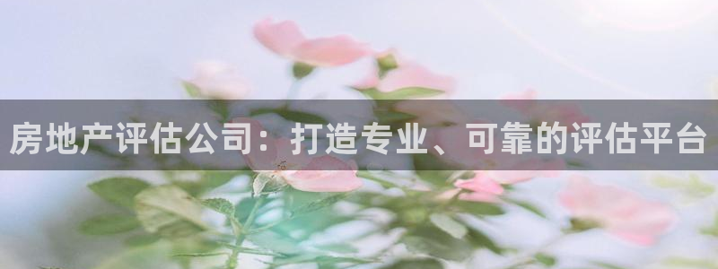 风暴娱乐点：房地产评估公司：打造专业、可靠的评估平台