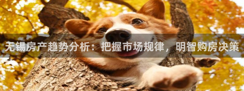 风暴娱乐套路：无锡房产趋势分析：把握市场规律，明智购房决策