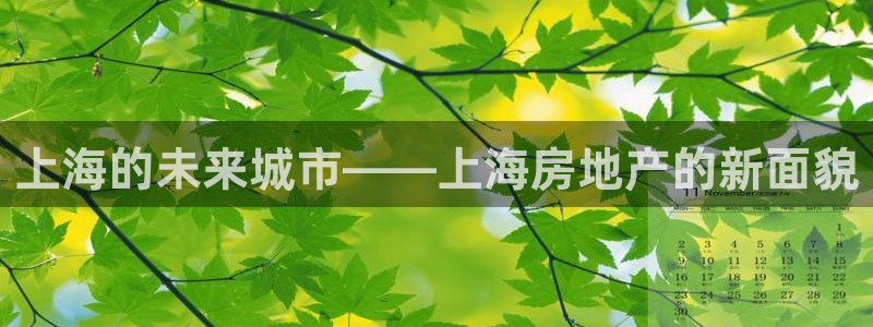 风暴娱乐去人l8888：上海的未来城市——上海房地产的新面貌