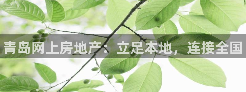风暴娱乐地5指尖：青岛网上房地产：立足本地，连接全国