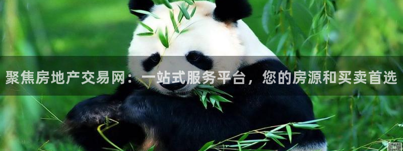 风暴娱乐网：聚焦房地产交易网：一站式服务平台，您的房源和买卖