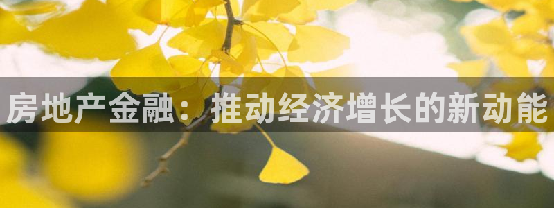 风暴娱乐乃六七五一38：房地产金融：推动经济增长的新动能