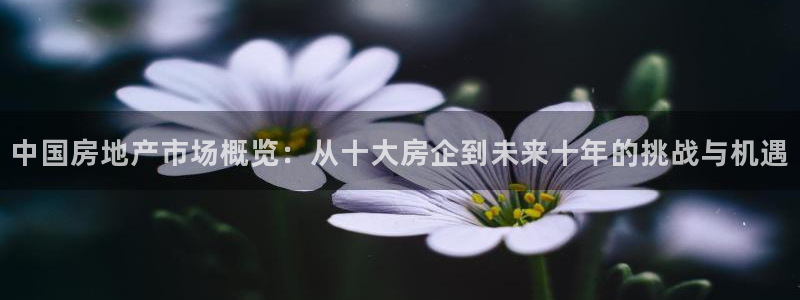 风暴娱乐官方网站：中国房地产市场概览：从十大房企到未来十年的