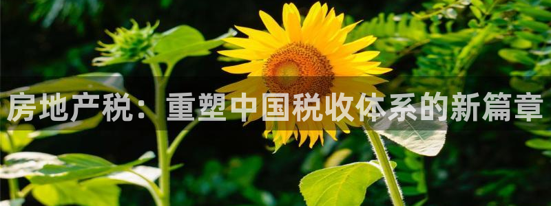 风暴注册娱乐：房地产税：重塑中国税收体系的新篇章