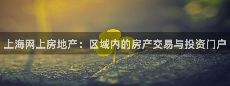 风暴娱乐下载：上海网上房地产：区域内的房产交易与投资门户