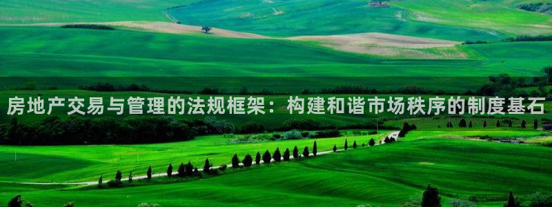 风暴娱乐老板：房地产交易与管理的法规框架：构建和谐市场秩序的