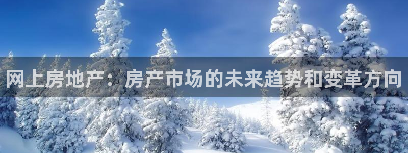 娱乐风暴合集：网上房地产：房产市场的未来趋势和变革方向