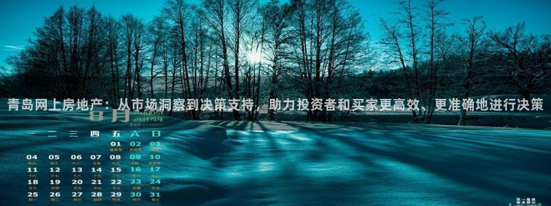 风暴娱乐待遇：青岛网上房地产：从市场洞察到决策支持，助力投资