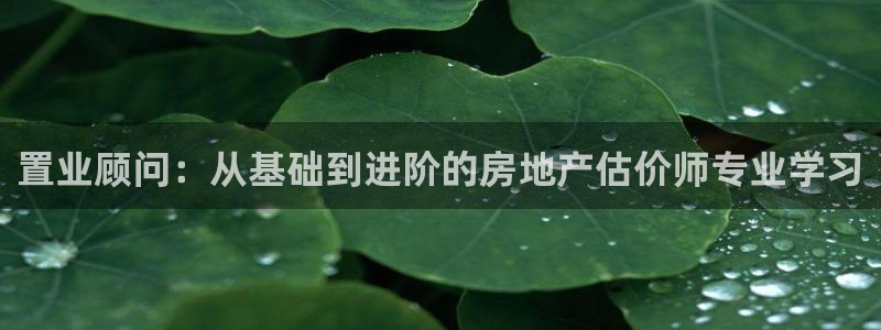 风暴娱乐眼：置业顾问：从基础到进阶的房地产估价师专业学习