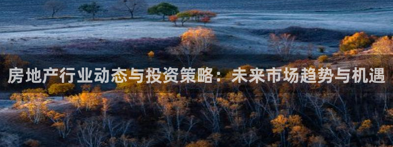 风暴娱乐厅：房地产行业动态与投资策略：未来市场趋势与机遇