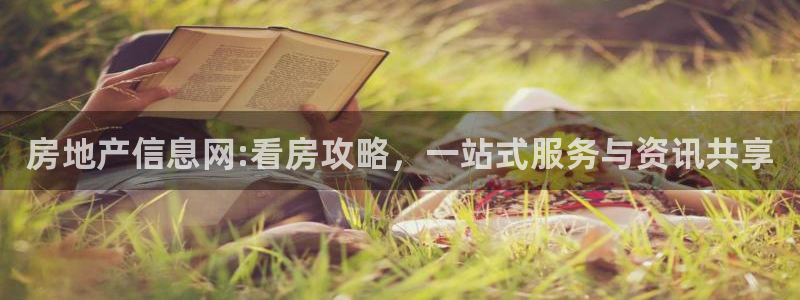 风暴娱乐园：房地产信息网:看房攻略，一站式服务与资讯共享