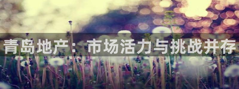 风暴娱乐记：青岛地产：市场活力与挑战并存