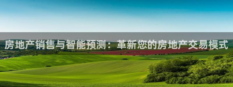 风暴娱乐主管是谁：房地产销售与智能预测：革新您的房地产交易模