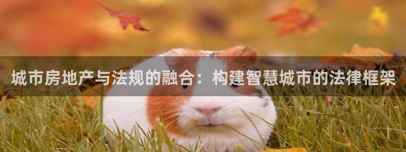 风暴娱乐主管是谁