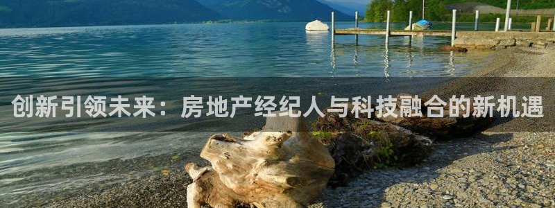 风暴娱乐主页：创新引领未来：房地产经纪人与科技融合的新机遇