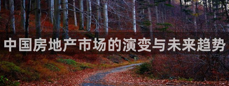 风暴娱乐左5指尖：中国房地产市场的演变与未来趋势