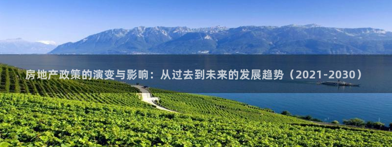 风暴娱乐 风暴注册平台：房地产政策的演变与影响：从过去到未来